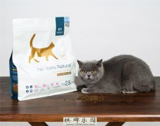 精选猫平台33位知乎养宠大V联名推荐：国产宠物